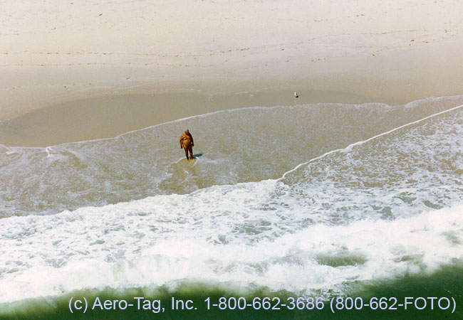 alone-seagull-fire-island-aerial-photos