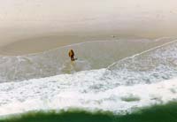 alone-seagull-fire-island-aerial-photos